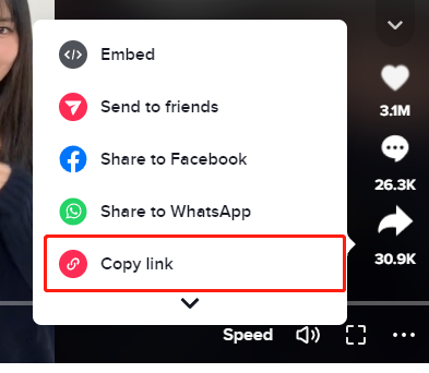 TikTok Send to option on iPhone